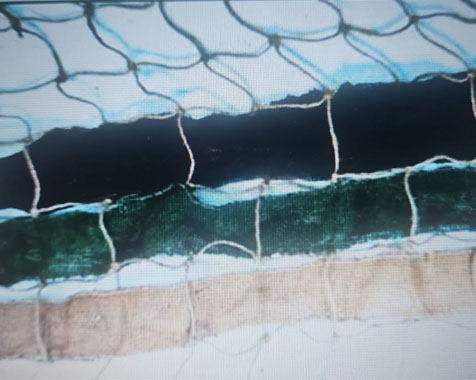 Camouflage Scrim